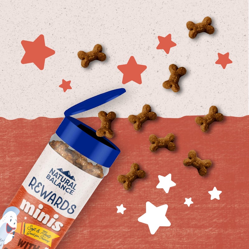 Natural Balance Limited Ingredient Mini-Rewards Salmon Grain-Free Dog Training Treats for Dogs | 5.3 Ounce Canister - Image 2