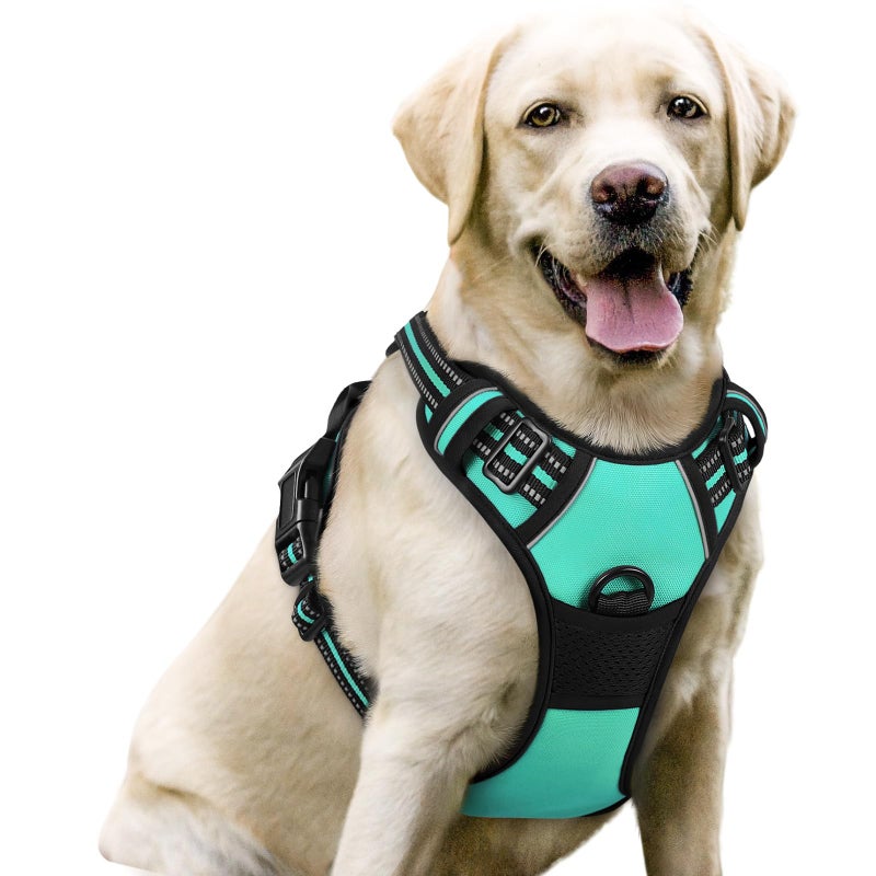 rabbitgoo Dog Harness No Pull with 2 Leash Clips Adjustable Soft Padded Reflective Oxford No Choke Pet Vest with Easy Control Handle for Large Dogs Turquoise L