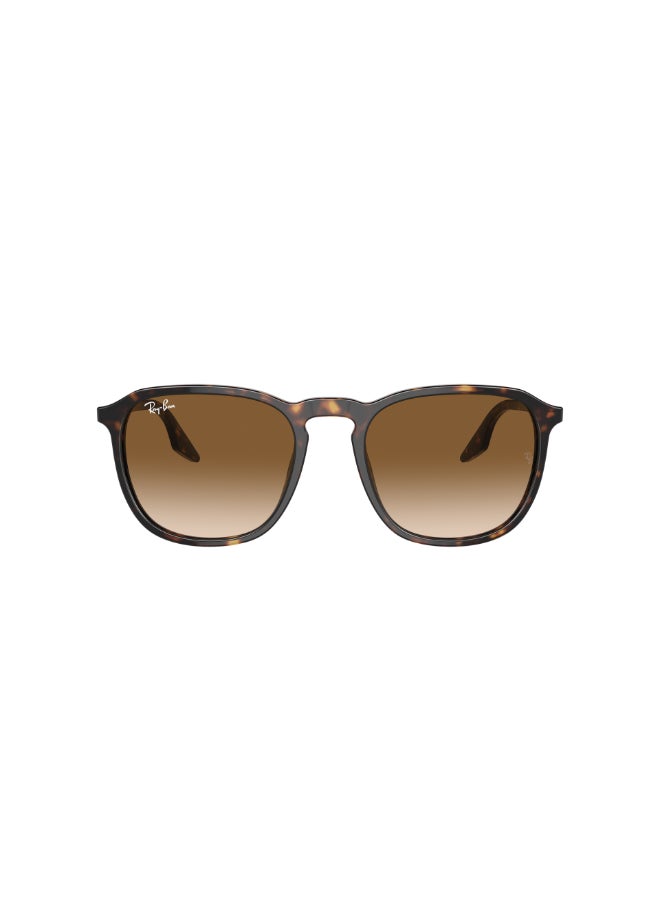 Ray-Ban Unisex RB2203 902/51 Unisex Full Rim Square Sunglasses - Lens Size: 55 mm - Image 1