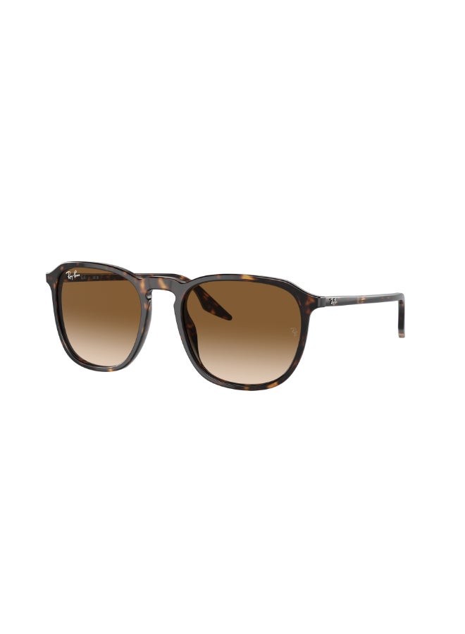 Ray-Ban Unisex RB2203 902/51 Unisex Full Rim Square Sunglasses - Lens Size: 55 mm - Image 2