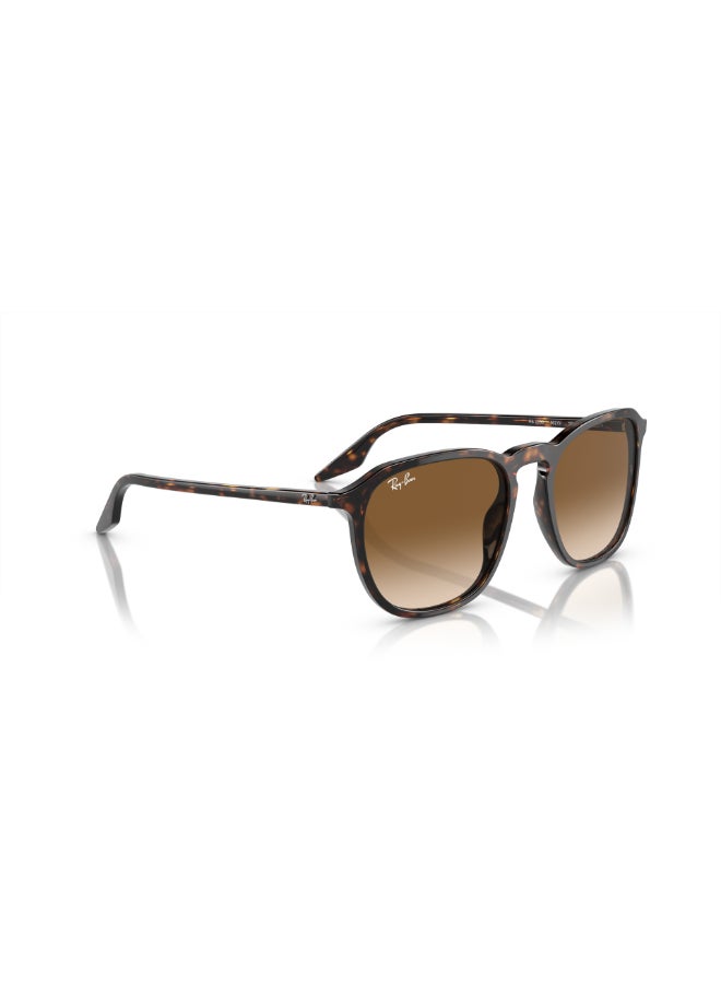 Ray-Ban Unisex RB2203 902/51 Unisex Full Rim Square Sunglasses - Lens Size: 55 mm - Image 3
