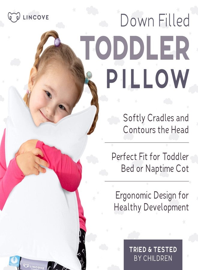 Lincove Canadian Down Toddler Pillow for Sleeping - Perfect for Kids Travel Pillow, Nap Time, Toddler Cot, Crib, Bed - 800 Fill Power, 100% Cotton Shell, 400 Thread Count (13 x 18) - Image 3