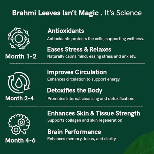 TEACURRY Organic Brahmi Leaves Tin Can (50 Gram) - Helps with Relaxation, Calmness & Body Wellness - Fresh from Punjab, India - All Natural Ingredients - Image 4