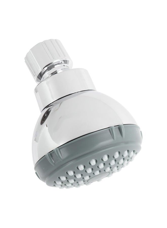 LDR Exquisite Chrome Plastic 1 settings Showerhead 1.8 gpm - Image 1