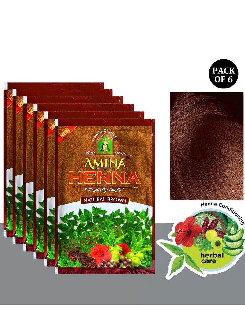 أمينا بودرة حناء أمينة الطبيعية البنية لتلوين الشعر، شعر بني، صبغة شعر عشبية لشعر ناعم حريري ولامع للرجال والنساء (25 جرام × عبوة من 6 قطع) - Image 1