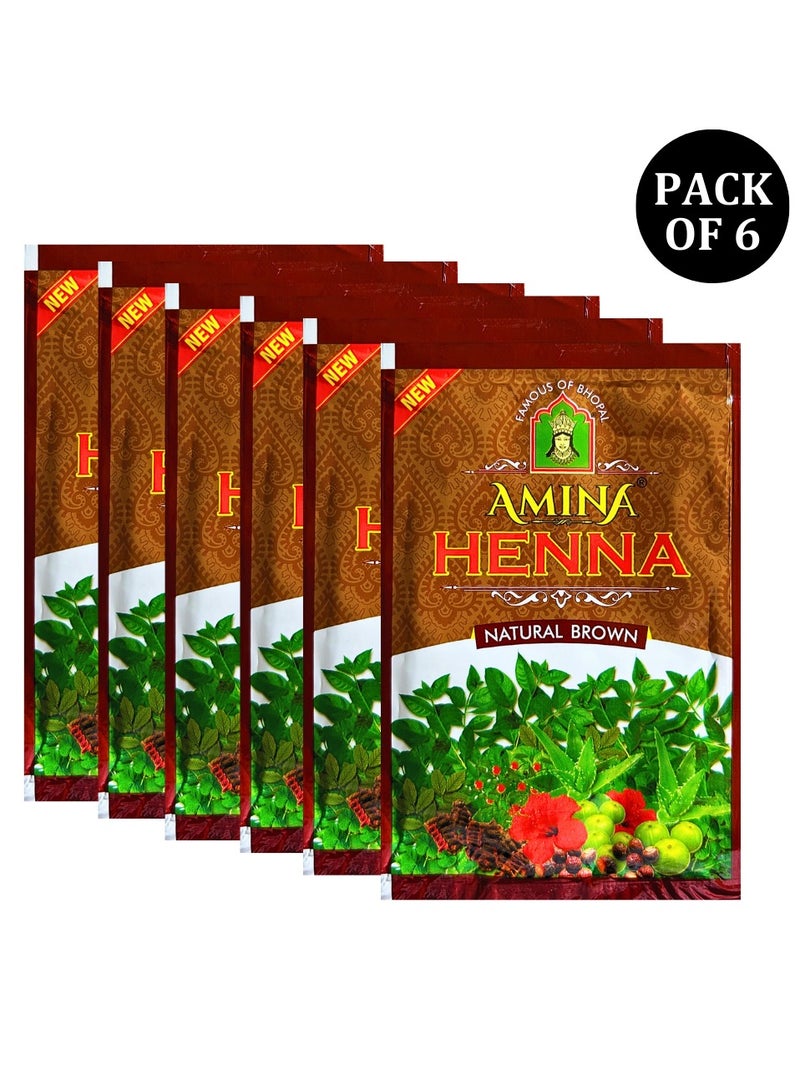 أمينا بودرة حناء أمينة الطبيعية البنية لتلوين الشعر، شعر بني، صبغة شعر عشبية لشعر ناعم حريري ولامع للرجال والنساء (25 جرام × عبوة من 6 قطع) - Image 3