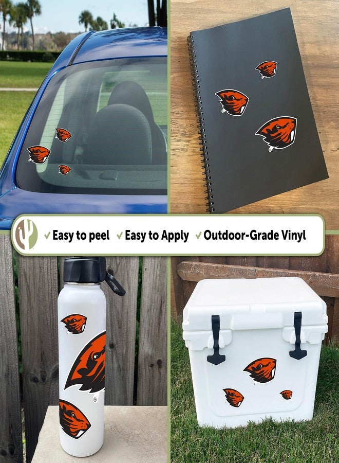 Desert Cactus Oregon State University Sticker Oregon State Beavers Vinyl Decal Laptop Water Bottle Car Scrapbook Sheet (Type 3-1) - Image 2