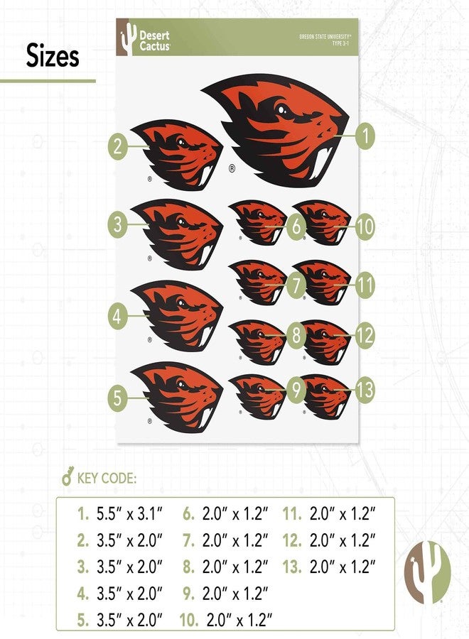 Desert Cactus Oregon State University Sticker Oregon State Beavers Vinyl Decal Laptop Water Bottle Car Scrapbook Sheet (Type 3-1) - Image 3