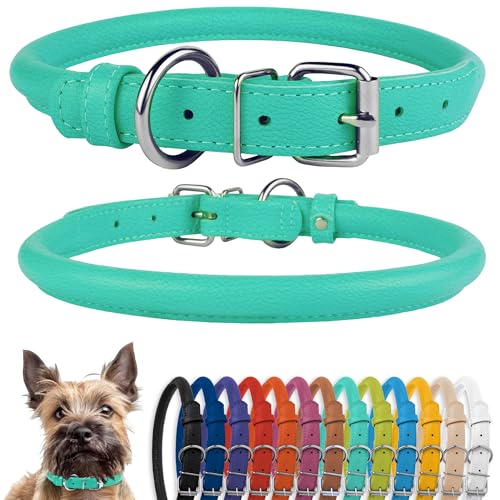 CollarDirect Rolled Leather Dog Collar, Soft Padded Round Puppy Collar, Handmade Genuine Leather Collar Dog Small Large Cat Collars 13 Colors (6-7 Inch, Mint Green Textured) - Image 1
