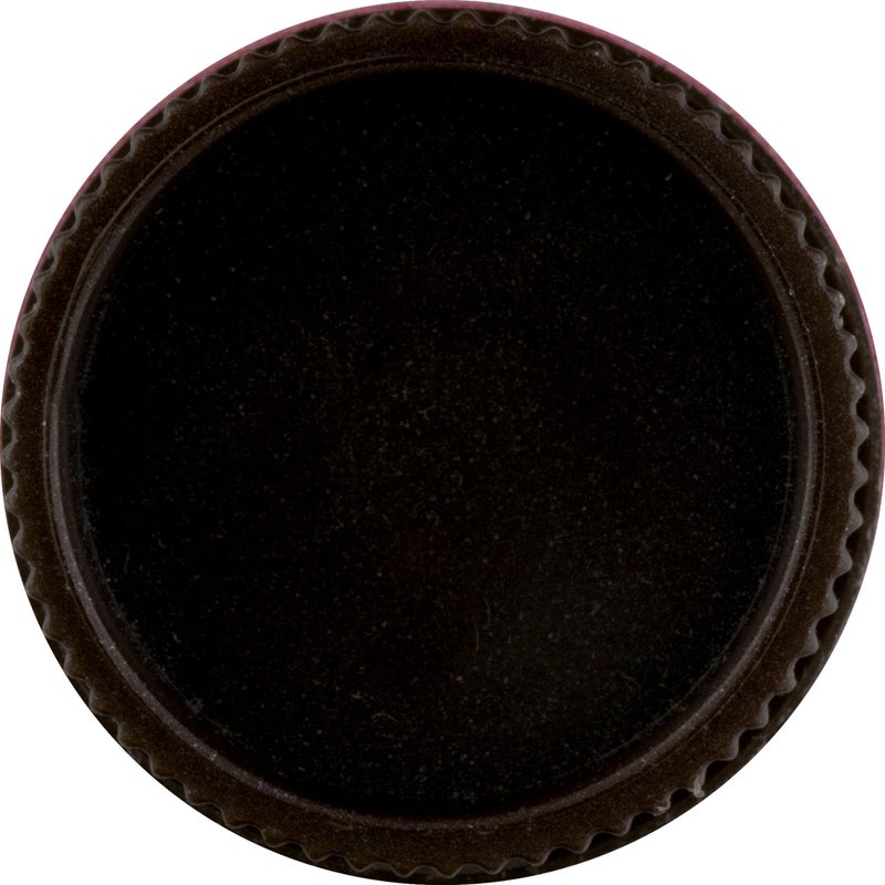 Burt's Bees بلسم الشفاه الملون من بيرتس بيز بالورد، 4.25 غرام - Image 3