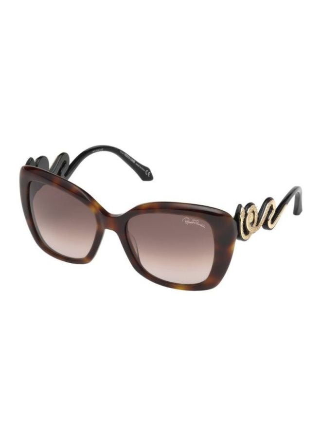 roberto cavalli Women Full Rim Butterfly Sunglasses RC1048.53F - Image 2