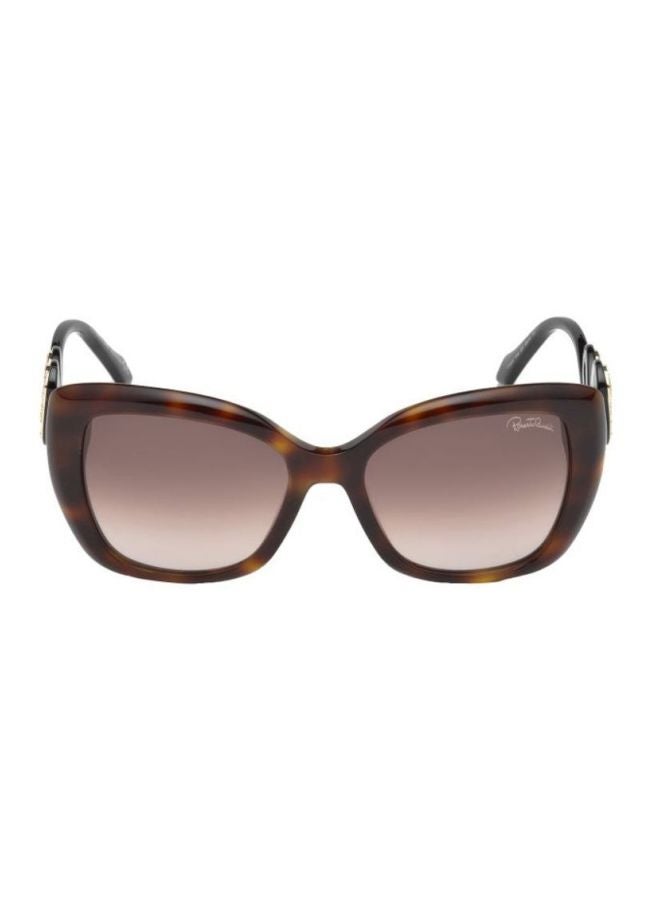 roberto cavalli Women Full Rim Butterfly Sunglasses RC1048.53F - Image 1