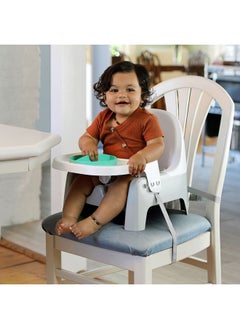ingenuity 2-In-1 ITY Deluxe Learn-To-Dine Feeding Booster Seat, Dishwasher-Safe Plates, 3-Point Harness, Ages 6 Months+  - Image 5