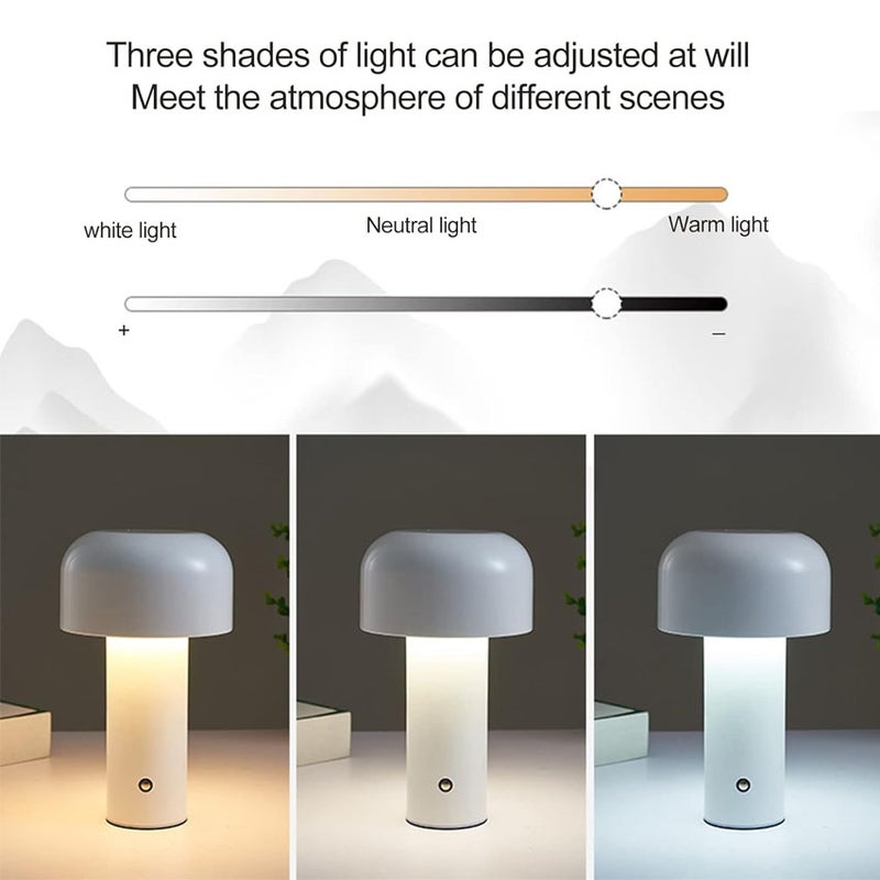 Mushroom Light, Mushroom Light Iron Acrylic Dimmable Mushroom Nightlamp 3 Color Temperature Dimmable USB Type C, Night Lights (White) - Image 4