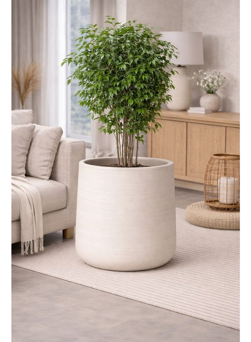 Decorative Cylindrical White Planter – Modern Minimal Design - Image 2
