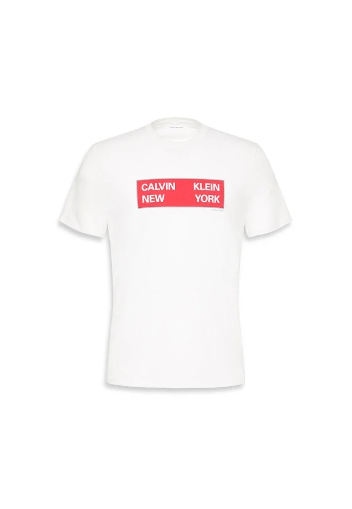 Calvin Klein Jeans  30S Graphic Crew Neck T-Shirt for Men | Best Price UAE