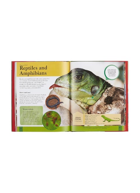 Children's Encyclopedia of Animals