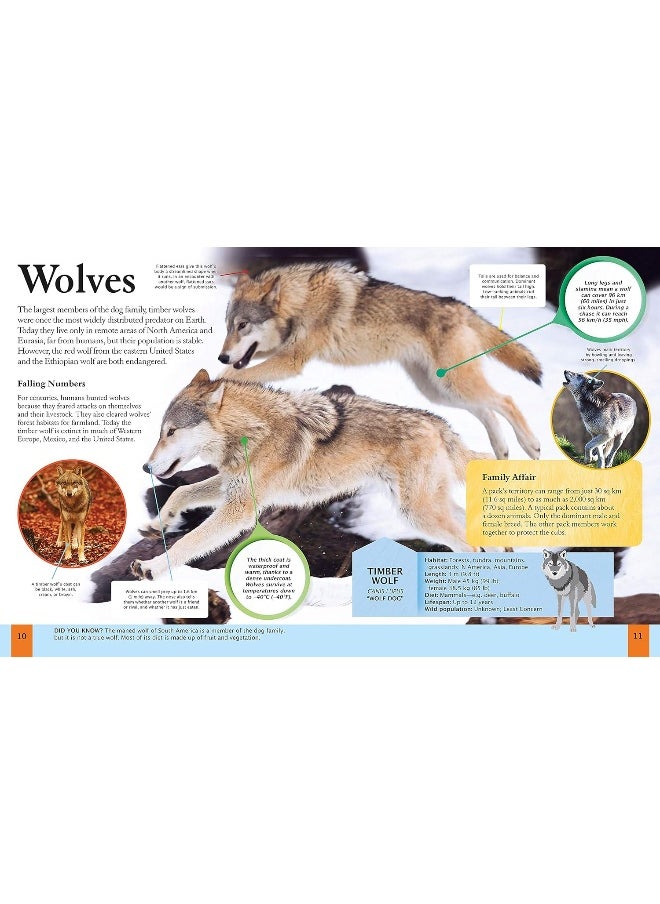 null - Children's Encyclopedia of Animals - Image 1