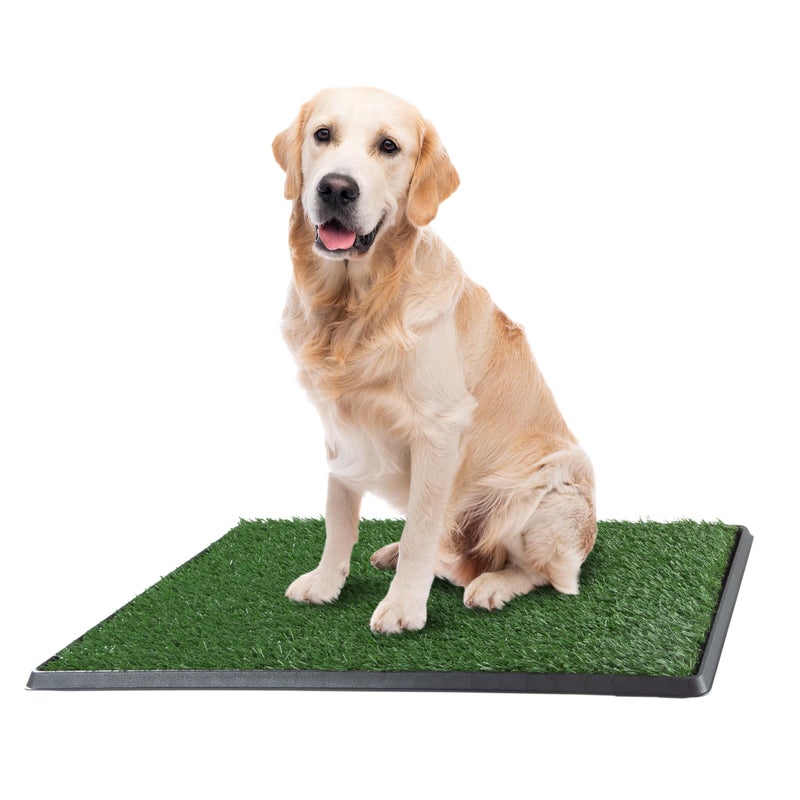 Artificial Grass Puppy Pee Pad for Dogs and Small Pets 20x30 Inch Reusable 3Layer Turf Pads for Dogs with Tray Indoor and Outdoor Fake Grass Potty Pet Supplies by PETMAKER