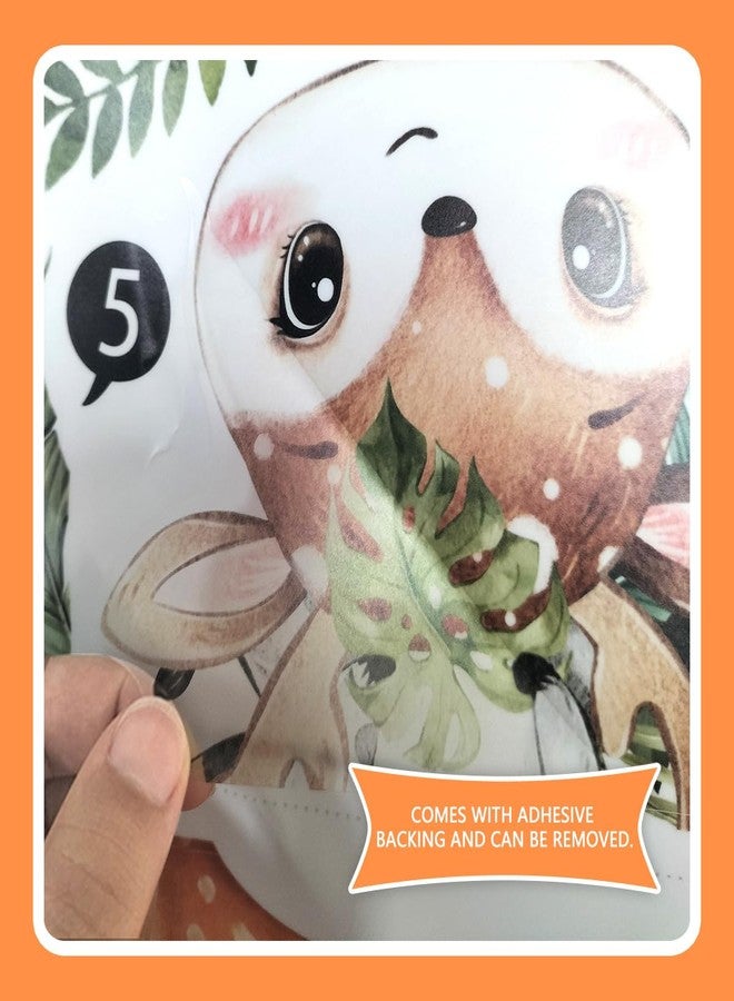 Boodecal 35.43 x 53.94 inches Jungle Animal Lion Elephant Cartoon Version Growth Chart for Kids Height Chart Ruler Wall Decor for Measuring Kids Boys Girls Wall Decals Stickers for Children Nursery - Image 4