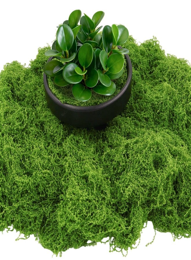 Bitlongate Artificial Moss 10.6oz – Fake Green Moss for Crafts, Potted Plants, Fairy Garden Decor, DIY Table Centerpieces, Wedding Party Decoration - Image 2