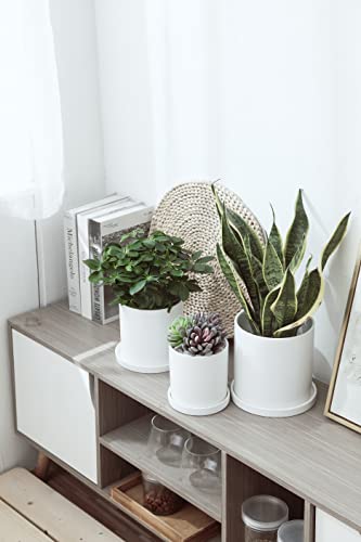 Woiida 6 inch Matte Wihte Ceramic Plant Saucer (2 Pack)-Ceramic Drainage Tray for Plant Pot - Image 4