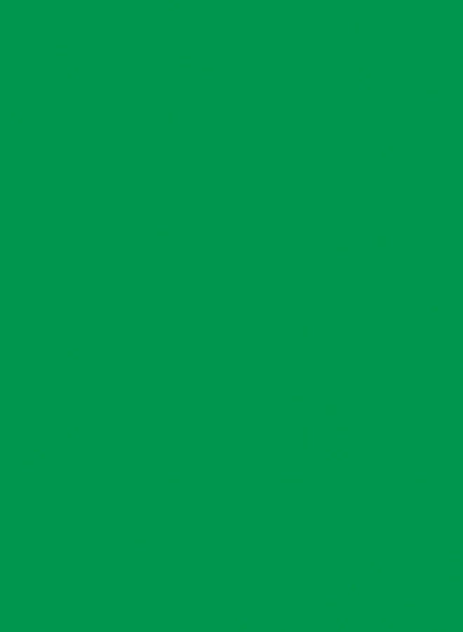 Jillson Roberts 6 Roll-Count Solid Color Gift Wrap Available in 20 Colors, Green Matte - Image 1