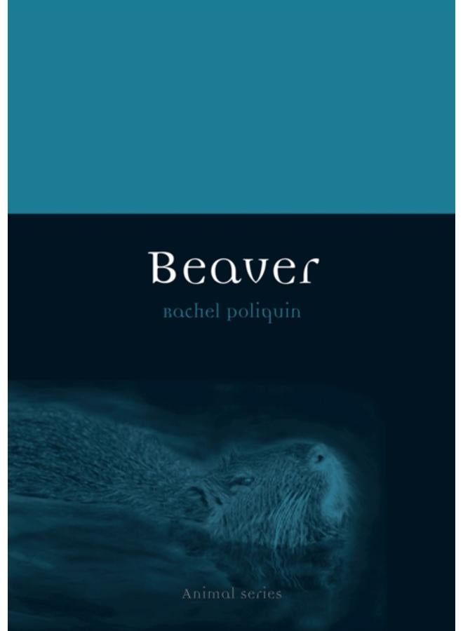 Beaver 