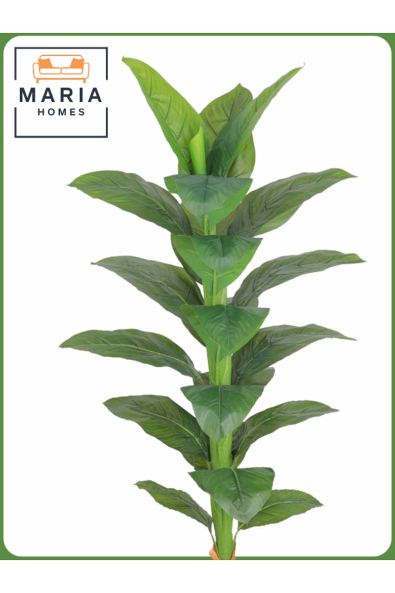 ماريا شجرة أوراق اصطناعية 160 سم – نبات داخلي مزخرف في وعاء رمادي - Image 2