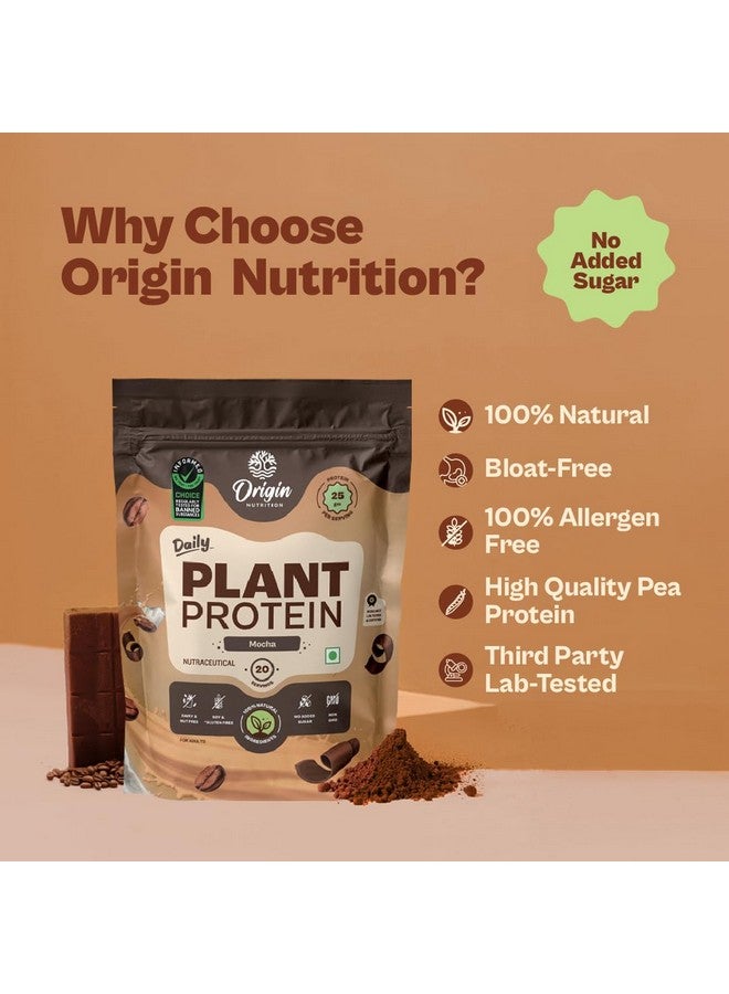ORIGIN NUTRITION مسحوق بروتين نباتي طبيعي 100% من أوريجن نيوترشن 800 جرام، بنكهة الموكا مع 25 جرام بروتين نباتي، بدون سكر مضاف، خالي من الجلوتين، خالي من الألبان، خالي من الصويا، غير معدل وراثيًا، 20 حصة - Image 2