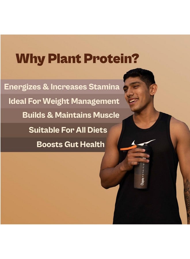 ORIGIN NUTRITION مسحوق بروتين نباتي طبيعي 100% من أوريجن نيوترشن 800 جرام، بنكهة الموكا مع 25 جرام بروتين نباتي، بدون سكر مضاف، خالي من الجلوتين، خالي من الألبان، خالي من الصويا، غير معدل وراثيًا، 20 حصة - Image 3