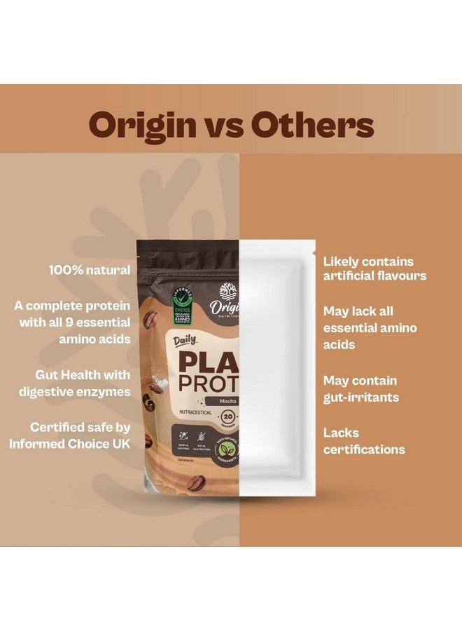ORIGIN NUTRITION مسحوق بروتين نباتي طبيعي 100% من أوريجن نيوترشن 800 جرام، بنكهة الموكا مع 25 جرام بروتين نباتي، بدون سكر مضاف، خالي من الجلوتين، خالي من الألبان، خالي من الصويا، غير معدل وراثيًا، 20 حصة - Image 4