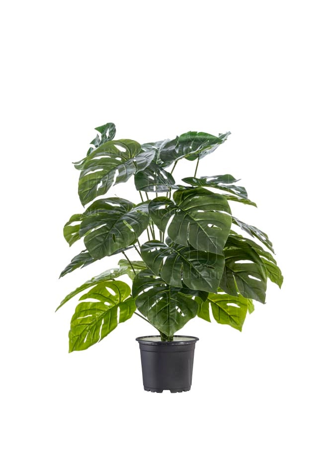 Unique Pots And Plants Monstera Artificial Bunch H70CM  - Image 1