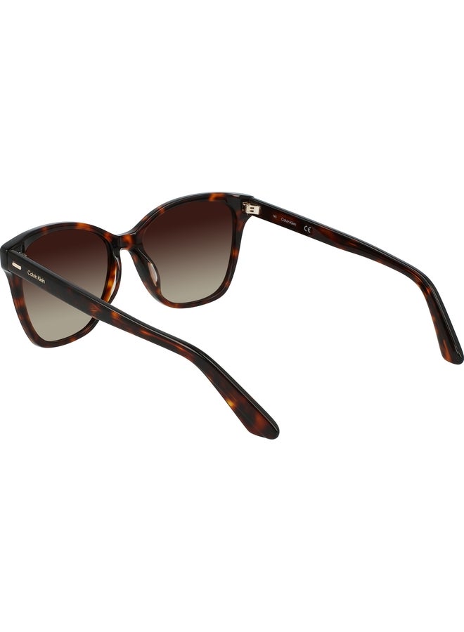CALVIN KLEIN FULL RIM ACETATE MODIFIED RECTANGLE CALVIN KLEIN SUN CK21529S N 5516 (220) BROWN HAVANA - Image 3
