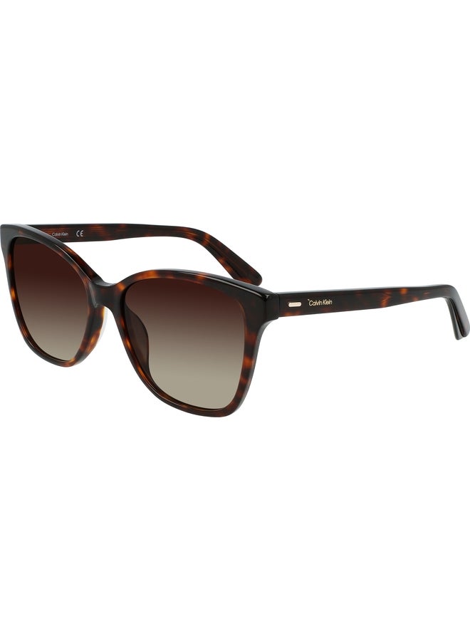 CALVIN KLEIN FULL RIM ACETATE MODIFIED RECTANGLE CALVIN KLEIN SUN CK21529S N 5516 (220) BROWN HAVANA - Image 2