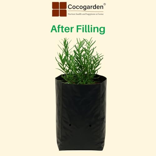 cocogarden Plastic UV Protected Poly Grow Bag for Seedling Nursery Cover Plant Bags (Black, 8 x 10 inch) - Pack of 20 | for Terrace and Balcony Gardening, Kitchen Vegetable and Flowering Plants - Image 3