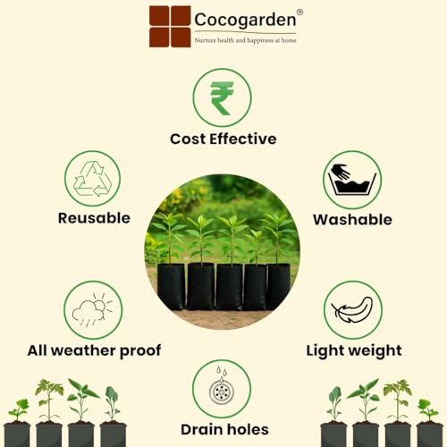 cocogarden Plastic UV Protected Poly Grow Bag for Seedling Nursery Cover Plant Bags (Black, 8 x 10 inch) - Pack of 20 | for Terrace and Balcony Gardening, Kitchen Vegetable and Flowering Plants - Image 4