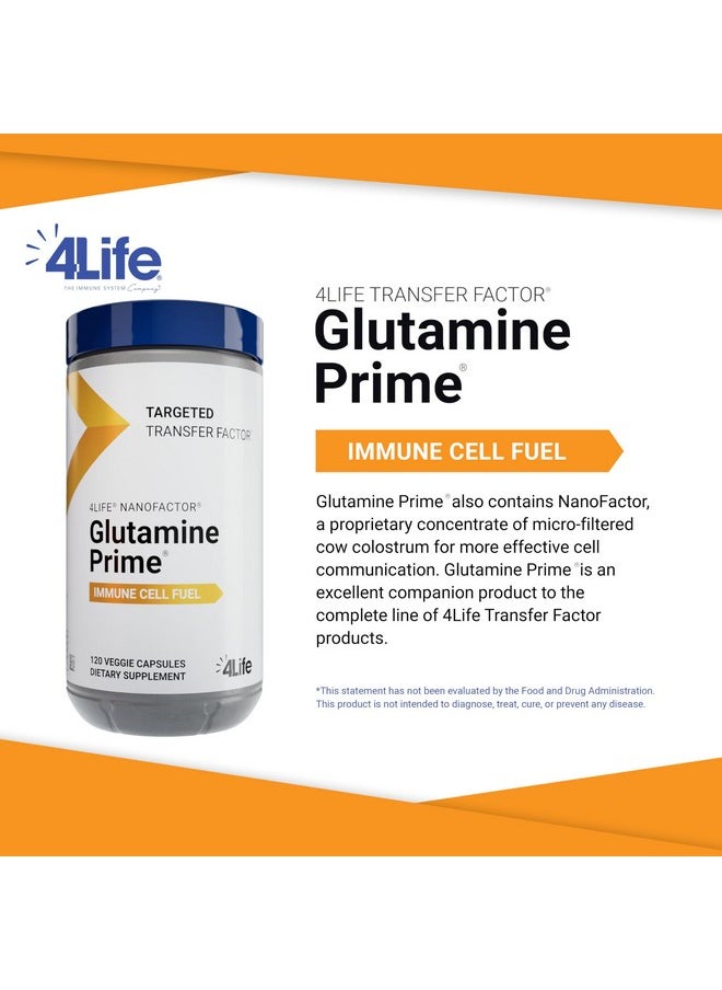 4لايف 4Life Glutamine Prime - غذِّ خلايا المناعة لديك بالجلوتامين وعزز التواصل بين الخلايا باستخدام NanoFactor - دعم الجهاز المناعي - تعزيز الصحة العامة والطاقة - 120 كبسولة نباتية  - Image 2