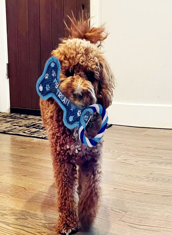 رايت لايت لعبة رايت لايت هانوكا العظمية الصريرية للكلاب - هدايا هانوكا لأصحاب الكلاب، زينة، مكافآت حقيبة الهدايا، هدايا حفلات العيد اليهودي، ألعاب، إكسسوارات، ديكور يهودي لجميع ليالي هانوكا الثمانية! - Image 4