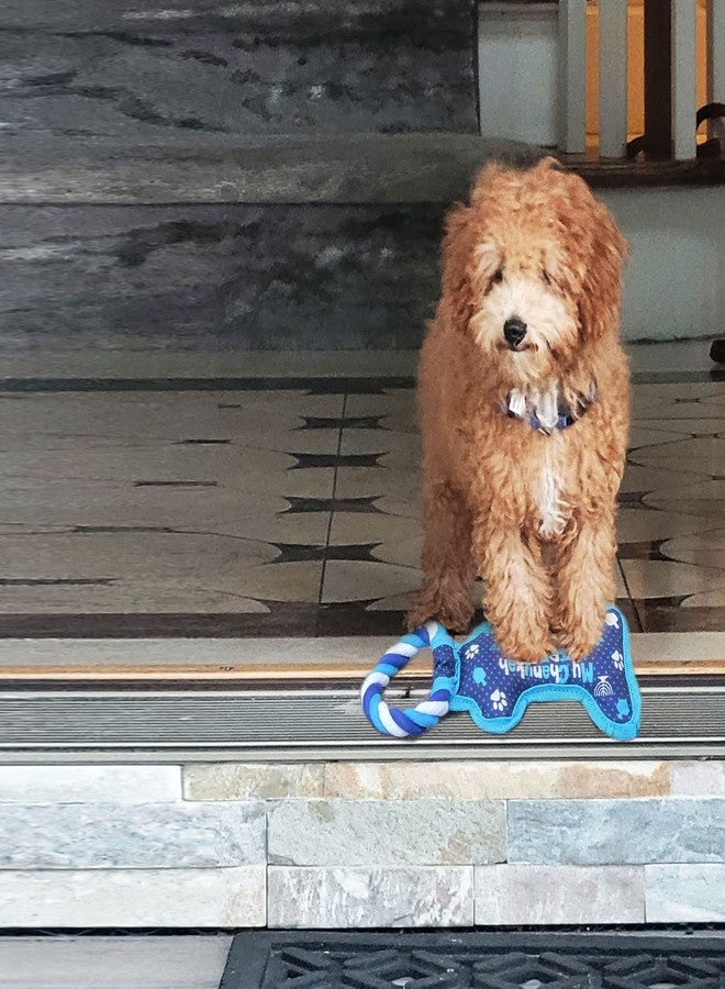 رايت لايت لعبة رايت لايت هانوكا العظمية الصريرية للكلاب - هدايا هانوكا لأصحاب الكلاب، زينة، مكافآت حقيبة الهدايا، هدايا حفلات العيد اليهودي، ألعاب، إكسسوارات، ديكور يهودي لجميع ليالي هانوكا الثمانية! - Image 5