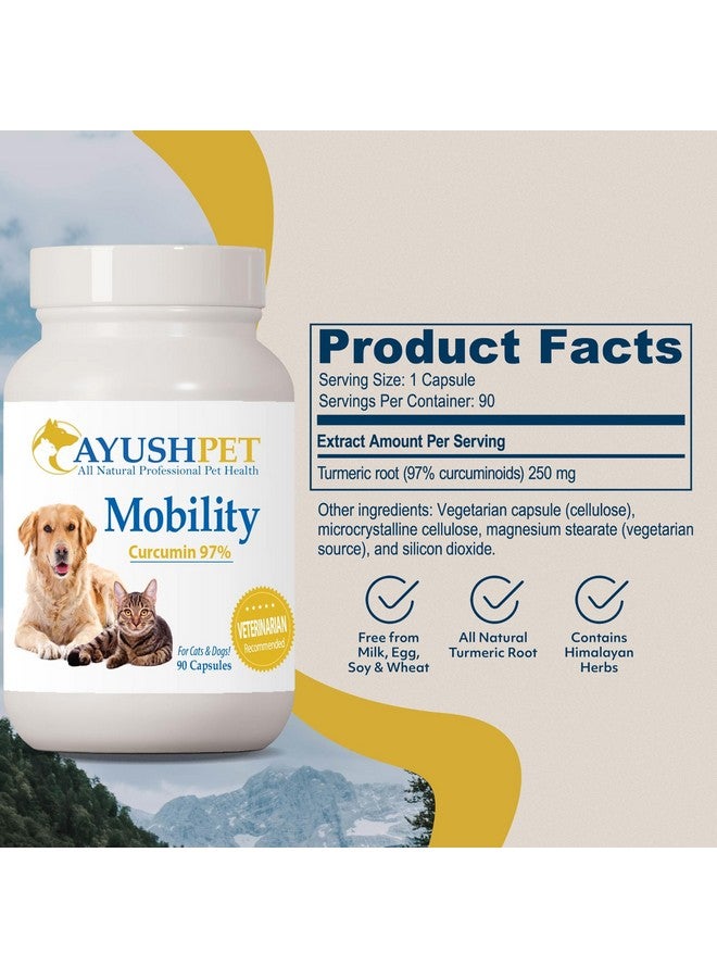 أيوش هيربس أيوش بيت موبيليتي، مكمل الكركمين لصحة المفاصل، نقي وفعال لدعم المفاصل والهضم والدماغ، للحيوانات الأليفة الكبيرة والصغيرة، 90 كبسولة - Image 3