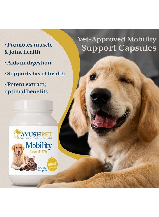 أيوش هيربس أيوش بيت موبيليتي، مكمل الكركمين لصحة المفاصل، نقي وفعال لدعم المفاصل والهضم والدماغ، للحيوانات الأليفة الكبيرة والصغيرة، 90 كبسولة - Image 2
