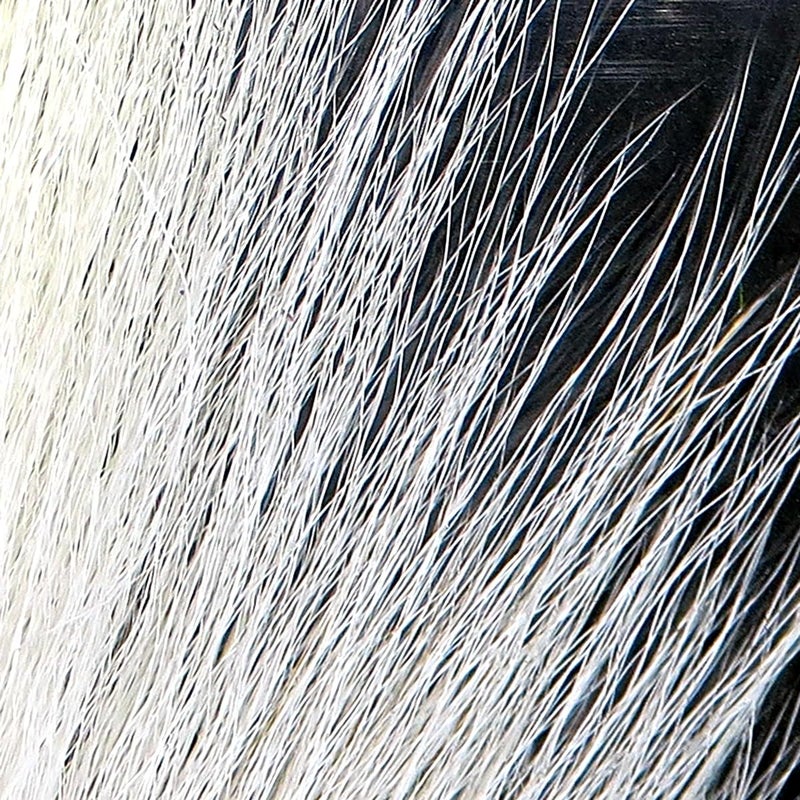 Hareline Fly Tying Large Northern Bucktail - White - Image 1