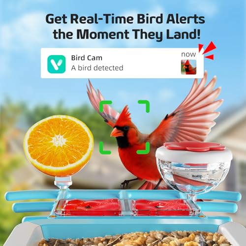 GAOYITK Bird Feeder with Camera 2K HD AI Smart Identify BirdSpecies Solar Panel Outdoors Birdhouse with Cam Instant Arrival Alerts Capture BirdVideo Gifts for Mom Dad - Image 3