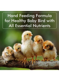 (Pci) Economic Nutri-Diet Hand Feeding Formula || Healthy Baby Bird With All Essential Nutrients (250 Grm, Nutri_Diet) - pzsku/Z542DA59A25320C4C1D34Z/45/_/1728312125/280501a2-45d2-4d2a-a243-ca9ebe902211