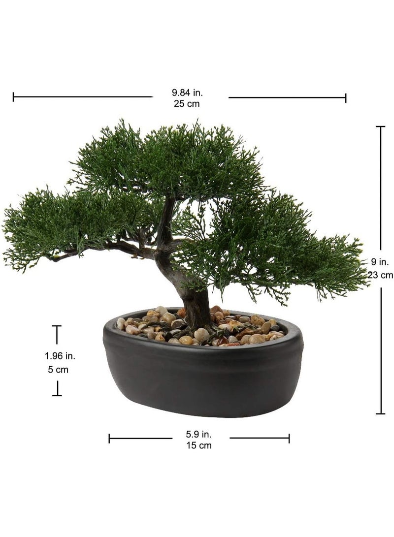 LATIFA Artificial Japanese Cedar Bonsai Tree, Ceramic Potted Decoration for Home Office, Indoor/Outdoor - Image 3