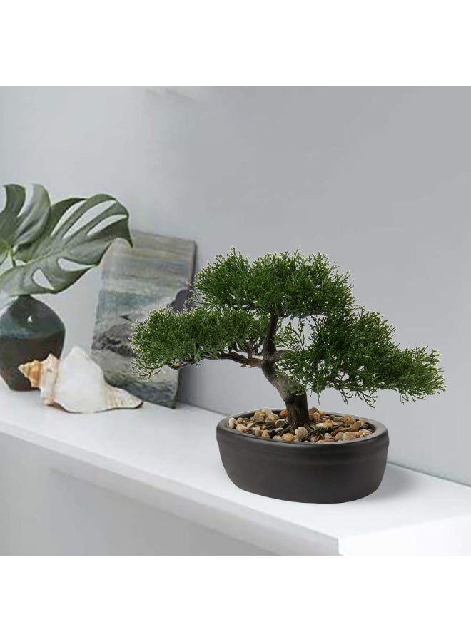 LATIFA Artificial Japanese Cedar Bonsai Tree, Ceramic Potted Decoration for Home Office, Indoor/Outdoor - Image 2