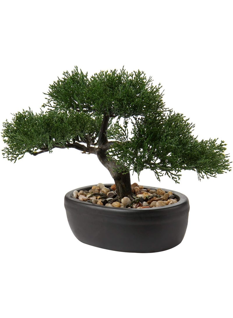 LATIFA Artificial Japanese Cedar Bonsai Tree, Ceramic Potted Decoration for Home Office, Indoor/Outdoor - Image 1
