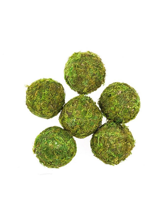 تونج كلاود تونغ كلاود، 6 قطع من كرات الطحالب الخضراء الطبيعية المزخرفة، كرات الطحالب الخضراء الطبيعية المصنوعة يدويًا والمعلقة للحديقة والفناء وديكور الطاولة والحفلات وحفلات الزفاف والدعائم للعرض (أخضر، 6) - Image 1