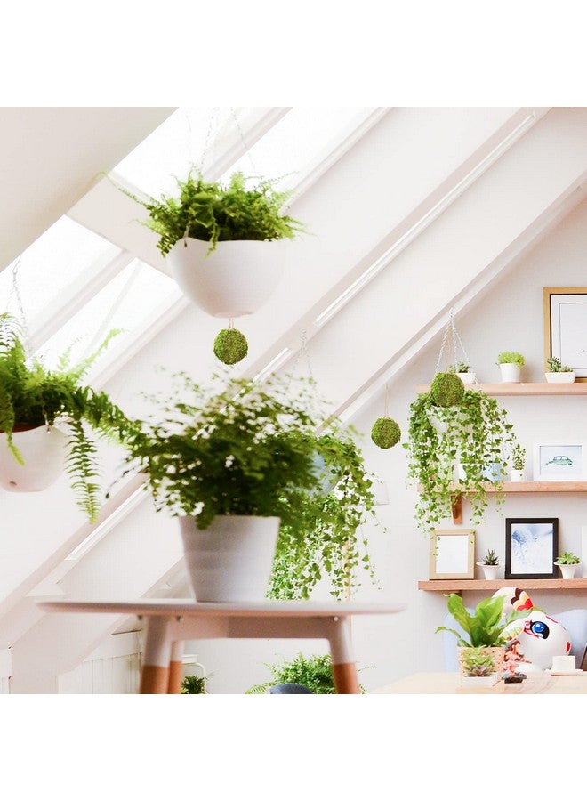 تونج كلاود تونغ كلاود، 6 قطع من كرات الطحالب الخضراء الطبيعية المزخرفة، كرات الطحالب الخضراء الطبيعية المصنوعة يدويًا والمعلقة للحديقة والفناء وديكور الطاولة والحفلات وحفلات الزفاف والدعائم للعرض (أخضر، 6) - Image 3